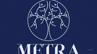 metra-story